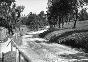 Freeways: Road in Lambach