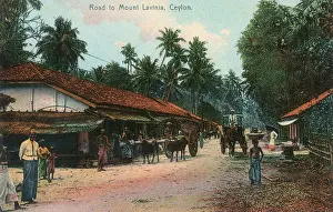 Lavinia: Road to Mount Lavinia, Ceylon (Sri Lanka)
