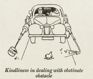Piped: Road obsticles - W H Robinson