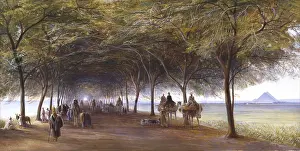 Pyramids: The Road to the Pyramids at Gizeh'. The road