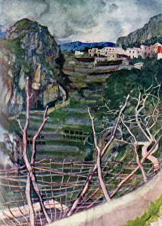 Terracing: The road to Ravello, Campania