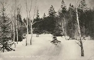 Vasiliy: Road through a Russian forest in winter