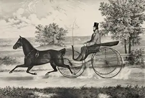C1853: The road, --summer