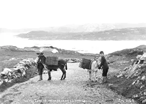 Desolate: On the Road to Tranarossan, Co. Donegal