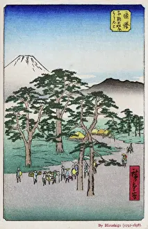 Ukiyo E: The Road to a village through the trees by Hiroshige