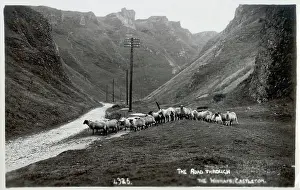 The Roseries Collection: The Road through the Winnats, Castleton