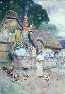 Woodlock: A Roadside Cottage, Warwick