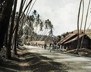Roadway: Roadway, Ceylon (Sri Lanka)