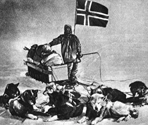 Dogsled: Roald Amundsen