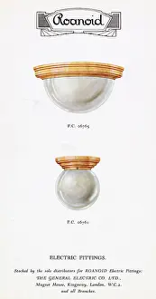 Fittings: Roanoid bakelite electric light fittings