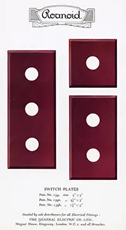 Fittings: Roanoid bakelite switch plates