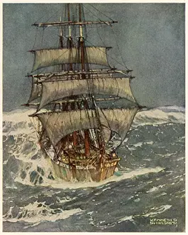 Confronts: In Roaring Forties