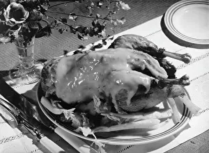 Celery: ROAST CHICKEN AND SAUCE