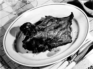 Trussed: ROAST TRUSSED RABBIT