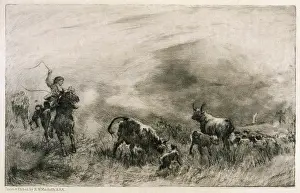 ROB ROY/STEALING CATTLE