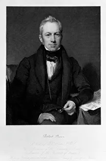 Orchidaceae: Robert Brown (1773-1858)