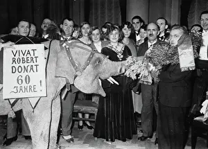 Bubi: Robert Donat celebrating his 60th