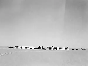 Pitching: Robert Falcon Scott, Terra Nova Expedition, Antarctic