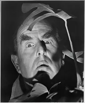 Topkapi: Robert Morley - Man - Actor - Celebrity