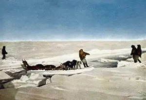Floe: Robert Peary's successful North Pole Expedition ?