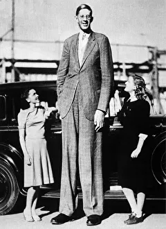 Pituitary: Robert Pershing Wadlow, Tallest Man