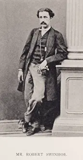 Threskiornithidae: Robert Swinhoe (1836-1877)
