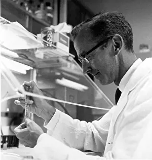 Linking: Robert William Holley, American Biochemist