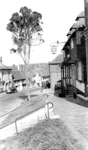 Robertsbridge: Robertsbridge, High Street c1955