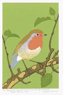 Robin