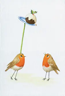 Precarious: Robin balancing a plum pudding on a pole