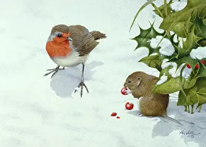 Lilly: Robin and Bank Vole in Snow with Holly