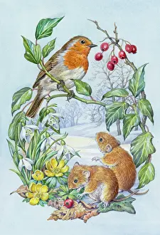 Haws: Robin and two Bank Voles in the snow