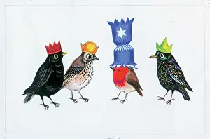 Starling: Robin and other birds in fancy hats