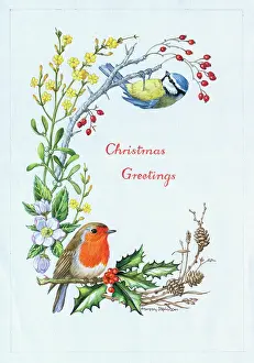 Bluetits: Robin and Blue Tit Christmas Greeting