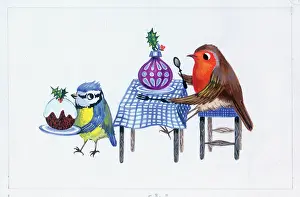 Puzzled: Robin and blue tit with Christmas pudding and bauble