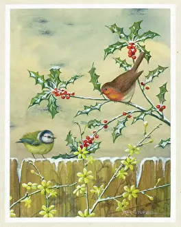 Jasmine: Robin and Blue Tit with holly and winter jasmine