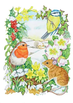 Robin, Blue Tit and Mouse with Winter Flowers