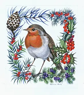 Caley: Robin in Border of Holly and Berries etc
