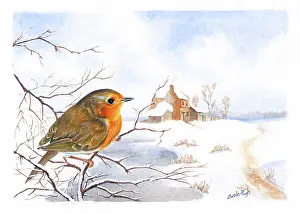 Pugh: Robin on a branch by a frozen stream