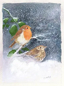 Pugh: Robin on a branch and Thrush in the snow