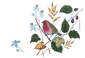 Samaraweera: Robin on a branch with various leaves around
