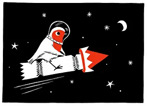 Two Colour: Robin on a Christmas cracker rocket