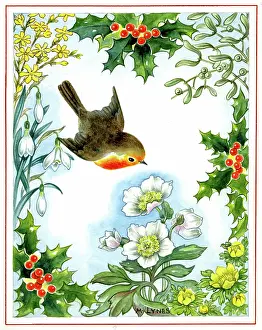 Jasmine: Robin, Christmas Roses and Holly