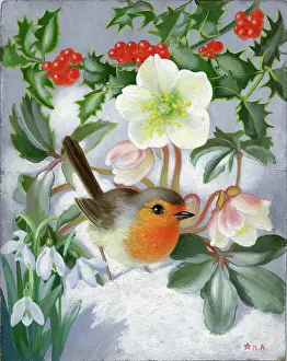 Heda: Robin, Christmas roses, holly and snowdrops
