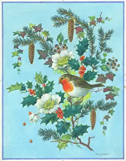 Lynes: Robin on a Christmas spray
