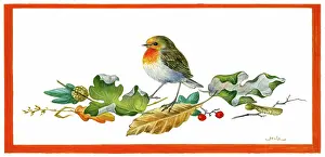 Lynes: Robin on dried leaves and berries