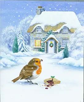 Mince: Robin eating a mince pie in the snow