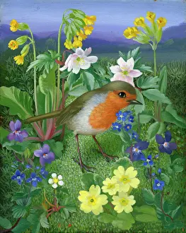 Cowslips: Robin with flowers
