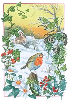 Gilda: Robin and Goldcrests with snowy view