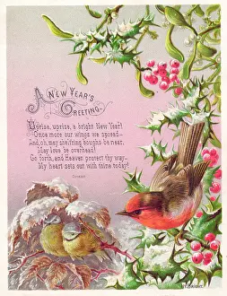 Redbreast: Robin and two great tits on a New Year card